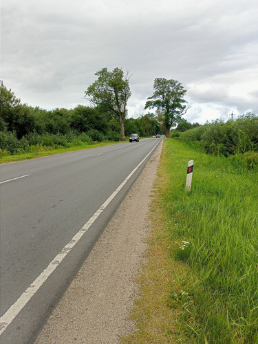 2022 08 07 08 10 30 cycling.jpg