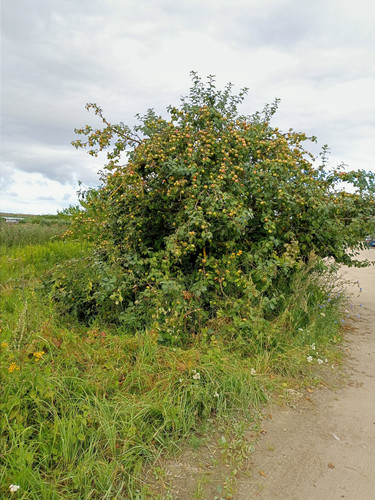 2022 08 07 08 03 49 cycling.jpg