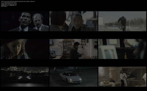 Heat.1995.UHD.BluRay.REMUX.2160p.HEVC.DTS HD.MA5.1 HDS.mkv.png