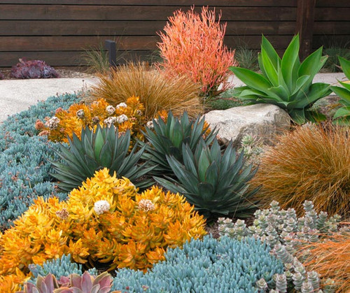 6EF707F1 6D7E 4C48 9AC0 E31ACCB0C8E0.jpg