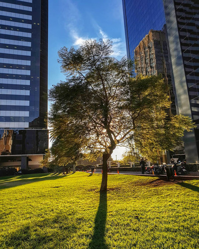 61076130 439639076847780 5505078975095542961 n.jpg