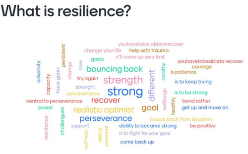 5TALLER Resilience WordCloud.jpg