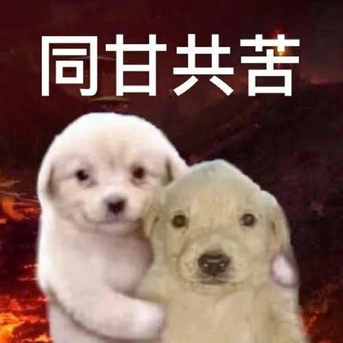 A9DB9D0C B4E6 4DC4 BBF9 DCE5E238575D.jpg