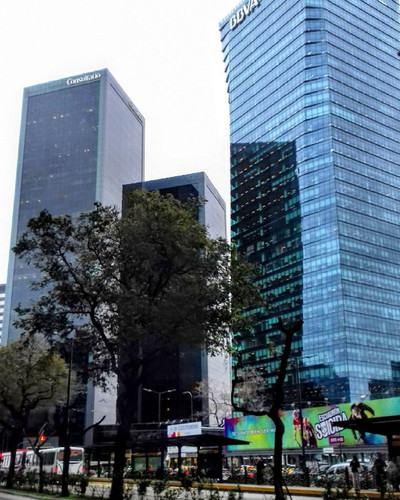 22157397 1949407211950930 9033778578247909376 n.jpg