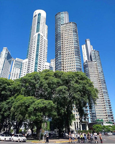 275038411 252625757061546 3287580348285432606 n.jpg