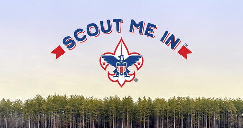 Scout Me In Trees.jpg