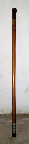 ACM0103 Bastone da passeggio.jpg