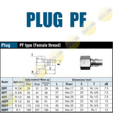 PLUG PF