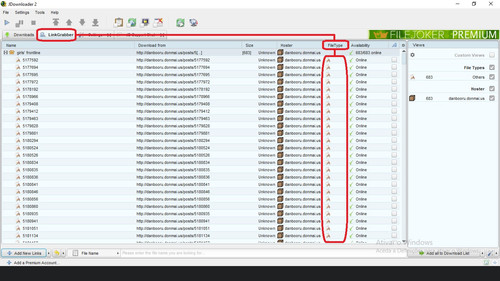 HOST danbooru.donmai.us Wrong file Type.jpg