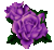 purple2.gif