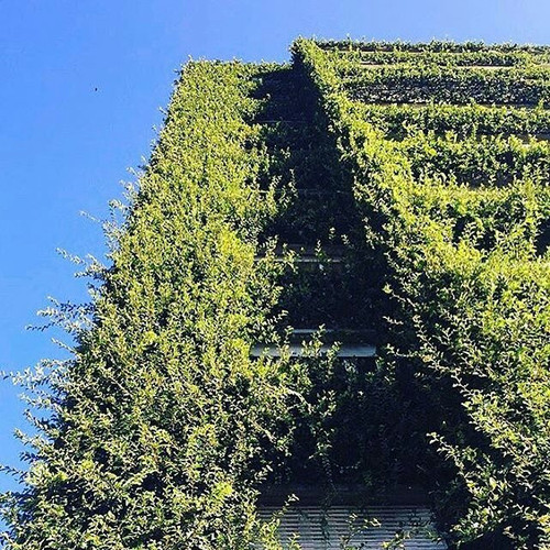 17494385 1972015846359543 2576999232506429440 n.jpg