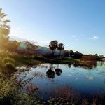 118654613 2806974279523721 1157855369598858583 n.jpg