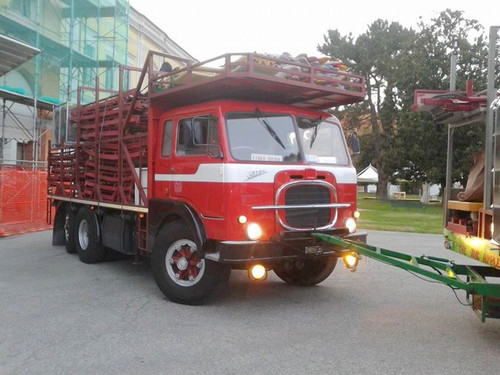 1924364 1515688558675337 541212890691932977 n.jpg