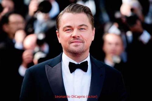 Leonardo DiCaprio (actor).jpg