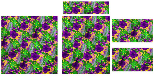 Hawaii Shirt Template 4.jpg