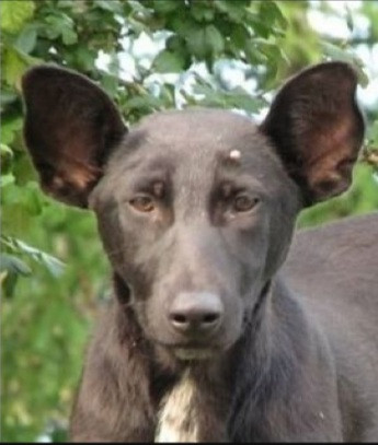 Screenshot 20220422 010233 Chrome.jpg