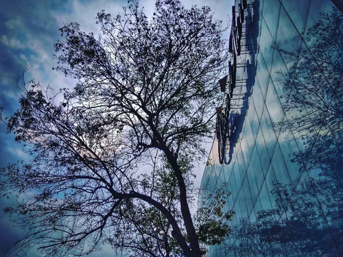 161731113 199188574876510 1661428386355485710 n.jpg