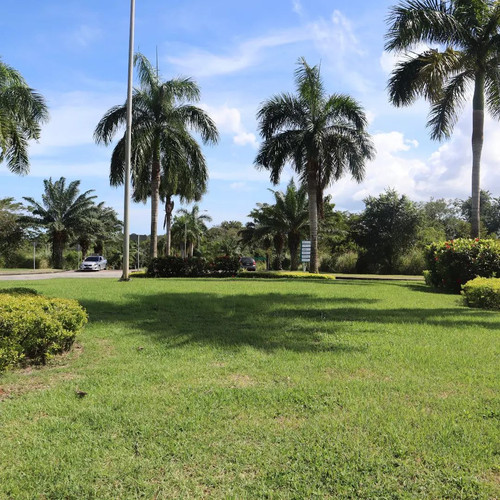 277905966 1007803170173483 8975694968172126399 n.jpg