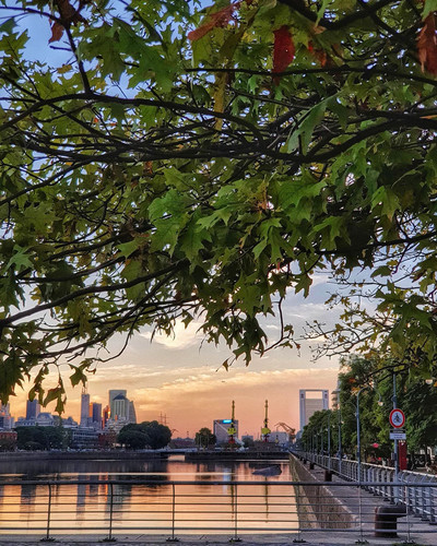 278033548 383029750350937 7808744884953928130 n.jpg