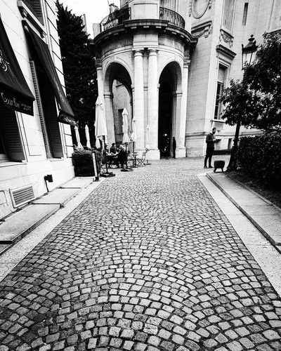 277961937 656339478962281 7372543545987011998 n.jpg