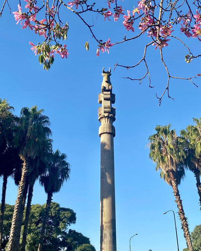 277904440 1166375210850361 4030424446486674653 n.jpg