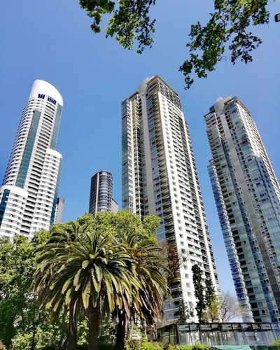 43118918 1240072602798917 6980997198449090772 n.jpg