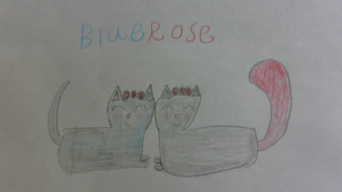 WIN 20220413 17 58 07 Pro.jpg