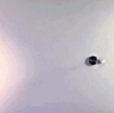 ezgif.com gif maker (1).gif