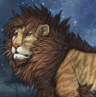 72500DAA 5DA4 41C5 A0FA 31906C34E3B7.jpg