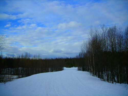 весеннее небо (Foto_3_16_04_2022).jpg