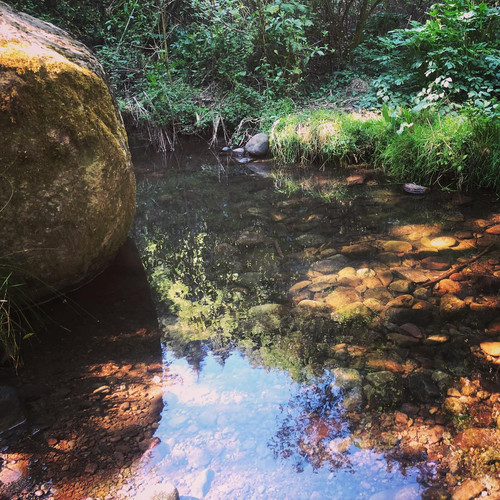 277433687 725891005454732 8787279732604389337 n.jpg