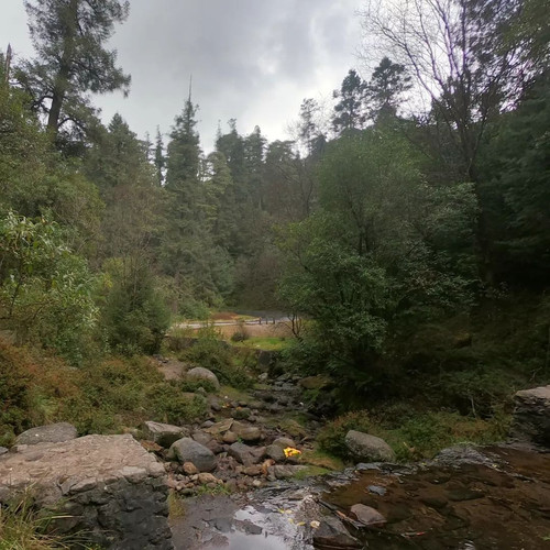 273266005 346507993951278 4649748591198913832 n.jpg