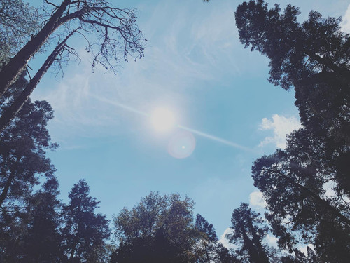 273387065 1354491235001254 2142843596055132152 n.jpg