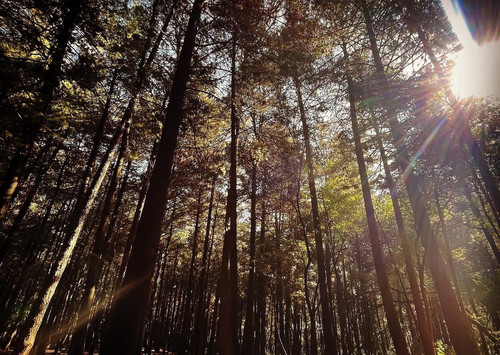 274333896 289498619948312 6430032567212151297 n (2).jpg