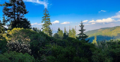 277382043 1967646606764143 4403197827054201920 n.jpg