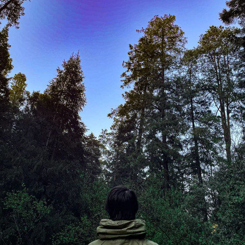 277036417 687193722488488 6370552910918003535 n.jpg