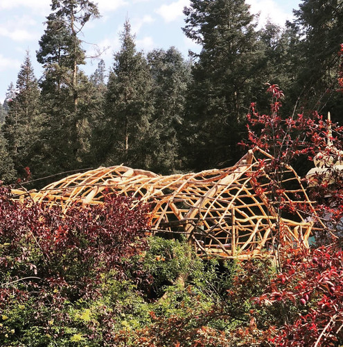 277473277 739378210750457 1476294462496983270 n.jpg