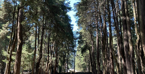 277415248 503021104683835 3199574888470336472 n (2).jpg