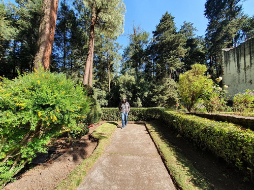 277546640 486410779794281 9048289015604026494 n.jpg