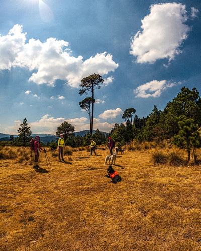 275038075 3268753883447136 3664505810011887490 n.jpg