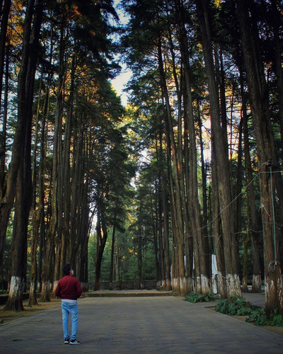 274981866 2163610327119968 5947129036323240329 n.jpg