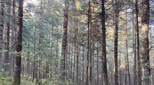 275586013 3135827276639876 839717150821219075 n (2).jpg