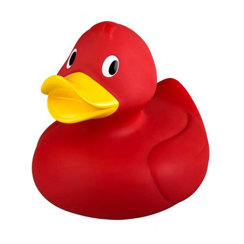 Red Duck.jpg