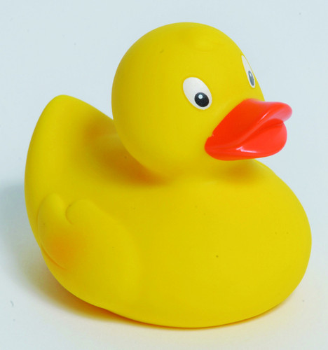 Yellow Duck.jpg