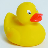 Yellow Duck