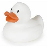White Duck