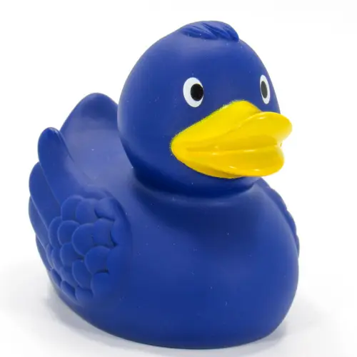 Blue Duck.webp