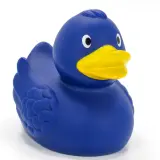 Blue Duck