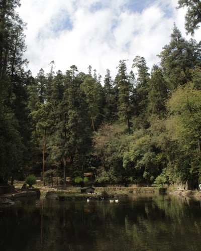 273822690 368304001411930 3318582865592615156 n.jpg