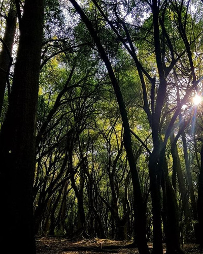 277509761 297037205907241 5192136976280380260 n.jpg